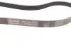 <strong>Пас поліклиновий на Citroen Jumpy 2.0 HDI 10- CONTITECH 6PK1244 (фото 2)</strong>