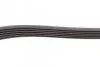 <strong>Пас поліклиновий на Citroen Jumpy 2.0 HDI 10- CONTITECH 6PK1244 (фото 3)</strong>