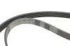<strong>Комплект (ремінь+ролики) CONTITECH 6PK1244K1 (фото 4)</strong>