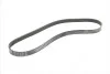 <strong>Пас поліклиновий Ford Focus 1.8/2.0 04-12 (6PK1249 CONTITECH 6PK1249ELAST (фото 5)</strong>