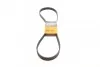 <strong>Ремінь поліклиновий PSA Jumpy Expert 2,0HDI 10>, Ford Kuga 2,0TDCI 11> ContiTech CONTITECH 6PK1250 (фото 1)</strong>