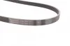 <strong>Ремінь поліклиновий PSA Jumpy Expert 2,0HDI 10>, Ford Kuga 2,0TDCI 11> ContiTech CONTITECH 6PK1250 (фото 2)</strong>