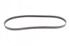 <strong>Ремінь поліклиновий PSA Jumpy Expert 2,0HDI 10>, Ford Kuga 2,0TDCI 11> ContiTech CONTITECH 6PK1250 (фото 4)</strong>