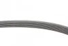 <strong>Пас поліклиновий Hyundai i30/ Tucson/ ix20 1.4i-1. CONTITECH 6PK1256 (фото 2)</strong>