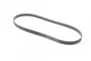 <strong>Пас поліклиновий Hyundai i30/ Tucson/ ix20 1.4i-1. CONTITECH 6PK1256 (фото 5)</strong>