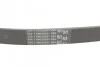 <strong>Ремінь генератора поліклиновий CONTITECH 6PK1264 (фото 3)</strong>