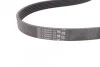 <strong>Ремінь поліклиновий Mitsubishi Eclipse Cross 1.5T 17> ContiTech CONTITECH 6PK1275 (фото 3)</strong>