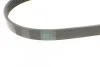 <strong>Пас поліклиновий VW Golf/VW Bora 2.3 97-00/Kia Sou CONTITECH 6PK1285 (фото 3)</strong>