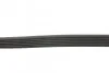 <strong>Пас поліклиновий Ford Focus/Mazda 3/5/Volvo S40/V5 CONTITECH 6PK1306 (фото 2)</strong>