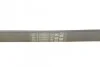 <strong>Пас поліклиновий Ford Focus/Mazda 3/5/Volvo S40/V5 CONTITECH 6PK1306 (фото 3)</strong>