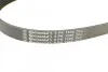 <strong>Пас поліклиновий Ford Focus/Mazda 3/5/Volvo S40/V5 CONTITECH 6PK1306 (фото 4)</strong>