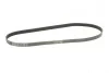 <strong>Пас поліклиновий Ford Focus/Mazda 3/5/Volvo S40/V5 CONTITECH 6PK1306 (фото 5)</strong>