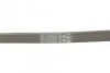 <strong>Пас поліклиновий Fiat Doblo 1.3D Multijet/1.3JTD CONTITECH 6PK1310 (фото 3)</strong>