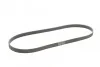 <strong>Пас поліклиновий Fiat Doblo 1.3D Multijet/1.3JTD CONTITECH 6PK1310 (фото 5)</strong>