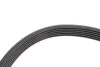 <strong>Клиновий ремінь CONTITECH 6PK1324EXTRA (фото 4)</strong>