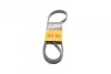 <strong>Ремінь поліклиновий Mazda 5 2,0i 10> ContiTech CONTITECH 6PK1325 (фото 1)</strong>