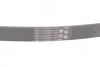 <strong>Пас поліклиновий MB C-class (W202)/E-class (W210) CONTITECH 6PK1330 (фото 2)</strong>