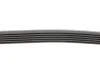 <strong>Пас поліклиновий Audi A6 2.5TDI 94-97/Ford Fiesta/ CONTITECH 6PK1345 (фото 2)</strong>