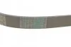 <strong>Пас поліклиновий Audi A6 2.5TDI 94-97/Ford Fiesta/ CONTITECH 6PK1345 (фото 3)</strong>