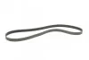 <strong>Пас поліклиновий Audi A6 2.5TDI 94-97/Ford Fiesta/ CONTITECH 6PK1345 (фото 5)</strong>