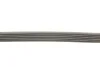 <strong>Ремінь генератора поліклиновий CONTITECH 6PK1345EXTRA (фото 4)</strong>