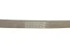 <strong>Ремінь генератора поліклиновий CONTITECH 6PK1345EXTRA (фото 5)</strong>