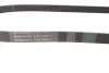 <strong>Пас поліклиновий Fiat Scudo 1.6D Multijet 07-/Ford CONTITECH 6PK1360 (фото 2)</strong>