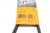 <strong>Пас поліклиновий Fiat Scudo 1.6D Multijet 07-/Ford CONTITECH 6PK1360 (фото 5)</strong>