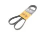 <strong>Поклиновий ремень CONTITECH 6PK1401EXTRA (фото 1)</strong>