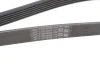 <strong>Поклиновий ремень CONTITECH 6PK1401EXTRA (фото 4)</strong>