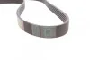 <strong>Пас поліклиновий Ford Connect 1.8TDCI CONTITECH 6PK1413 (фото 2)</strong>