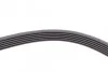 <strong>Пас поліклиновий Ford Connect 1.8TDCI CONTITECH 6PK1413 (фото 4)</strong>