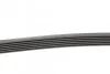 <strong>Пас поліклиновий Citroen Berlingo/Jumpy/Fiat Scudo CONTITECH 6PK1440 (фото 2)</strong>