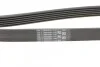 <strong>Пас поліклиновий Citroen Berlingo/Jumpy/Fiat Scudo CONTITECH 6PK1440 (фото 3)</strong>