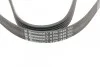 <strong>Пас поліклиновий Citroen Berlingo/Jumpy/Fiat Scudo CONTITECH 6PK1440 (фото 4)</strong>