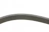 <strong>Комплект пасу поліклинового Fiat Scudo/Citroen Be CONTITECH 6PK1440K1 (фото 2)</strong>