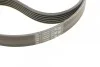<strong>Комплект пасу поліклинового Fiat Scudo/Citroen Be CONTITECH 6PK1440K1 (фото 3)</strong>