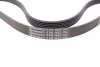 <strong>Пас поліклиновий CONTITECH 6PK1453 (фото 3)</strong>