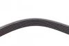 <strong>Пас поліклиновий Peugeot 406 96-04 CONTITECH 6PK1480 (фото 2)</strong>