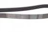 <strong>Пас поліклиновий Peugeot 406 96-04 CONTITECH 6PK1480 (фото 3)</strong>