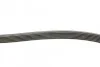 <strong>Пас поліклиновий Citroen Xantia 3.0 V6 97-03/Mitsu CONTITECH 6PK1495 (фото 2)</strong>
