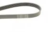 <strong>Пас поліклиновий Citroen Xantia 3.0 V6 97-03/Mitsu CONTITECH 6PK1495 (фото 3)</strong>