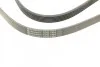 <strong>Пас поліклиновий Citroen Xantia 3.0 V6 97-03/Mitsu CONTITECH 6PK1495 (фото 4)</strong>