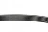 <strong>Ремінь поліклиновий CONTITECH 6PK1502 EXTRA (фото 2)</strong>