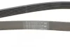 <strong>Ремінь поліклиновий CONTITECH 6PK1502 EXTRA (фото 3)</strong>