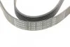 <strong>Ремінь поліклиновий CONTITECH 6PK1502 EXTRA (фото 4)</strong>