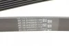<strong>Пас поліклиновий Opel Astra F/Corsa B/Vectra B 1.4 CONTITECH 6PK1530 (фото 3)</strong>
