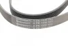 <strong>Пас поліклиновий Opel Astra F/Corsa B/Vectra B 1.4 CONTITECH 6PK1530 (фото 4)</strong>