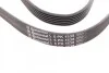 <strong>Пас поліклиновий VW Golf 1.6 FSI 02-06/BMW 3 (E46) CONTITECH 6PK1538 (фото 2)</strong>