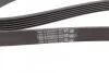 <strong>Пас поліклиновий VW Golf 1.6 FSI 02-06/BMW 3 (E46) CONTITECH 6PK1538 (фото 3)</strong>